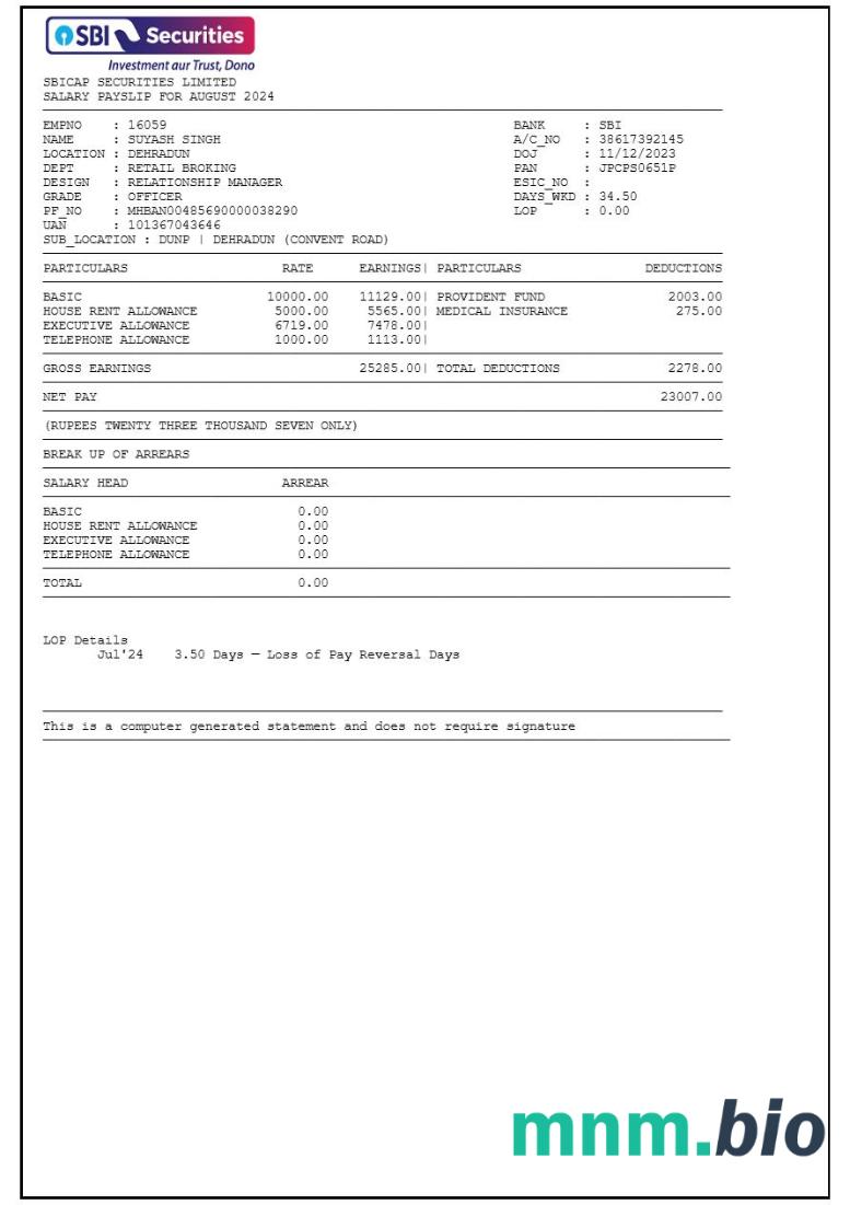 Szablon odcinka wypłaty Sbicap Securities w formatach Word i PDF